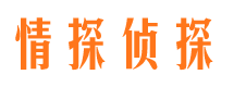 二道江市私家侦探